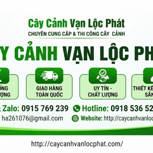 cay-canh-dong-nai-xu-huong-kien-tao-khong-gian-xanh-cung-cay-canh-van-loc-phat